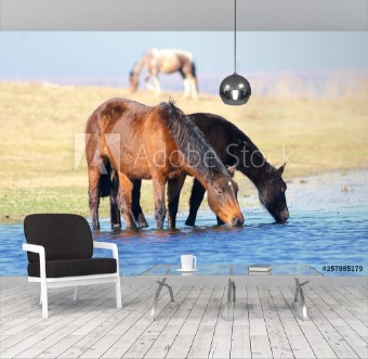 Picture of Two horses drink on the watering place